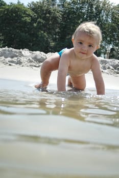 Mini Crab