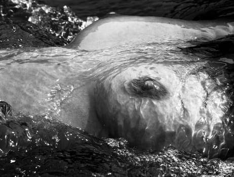 in the water