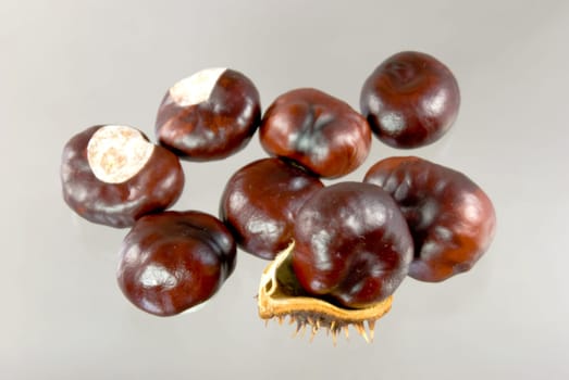 chestnuts