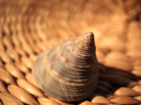 Conical