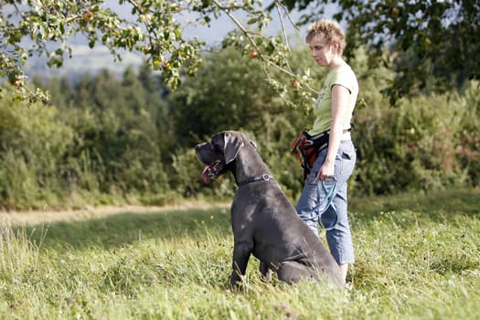 Great Dane male sitting with wife