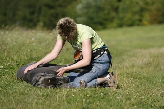 Great Dane Love