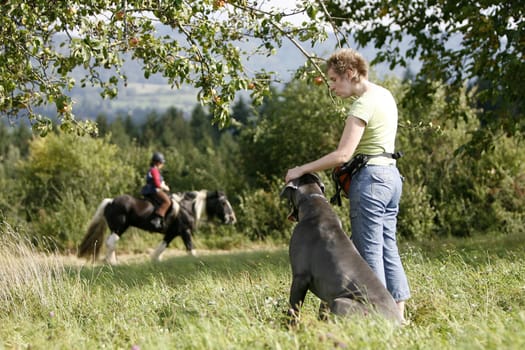 Dog and rider