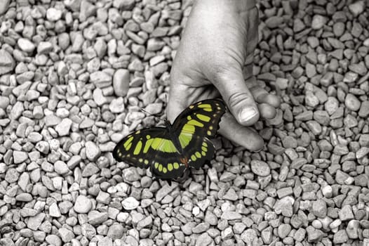 to be free