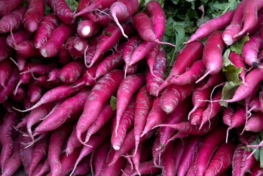 Red radish