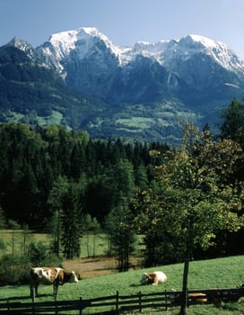 Bavarian Alps