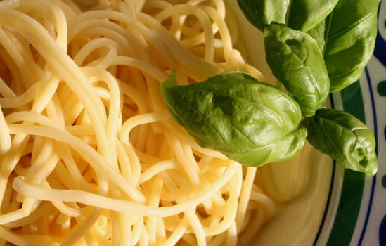 Spaghetti (2)