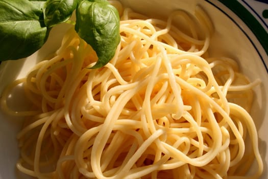 Spaghetti (3)