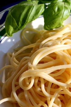 Spaghetti (4)