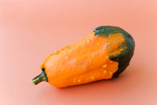 Mini Pumpkin