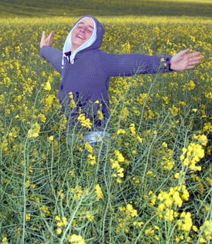 Rapeseed beetle
