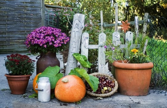 Autumn...