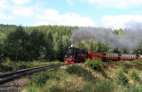The Harz narrow-gauge railway runs uphill in the curve " Thumkuhlental ""."