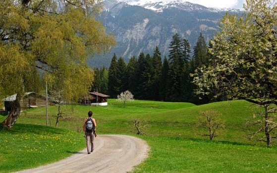 Spring walk