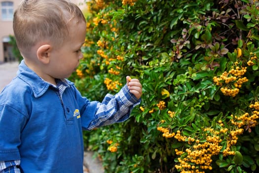 Child with berry
