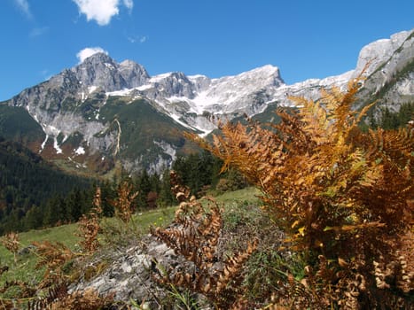 Mountain landscape in autumn