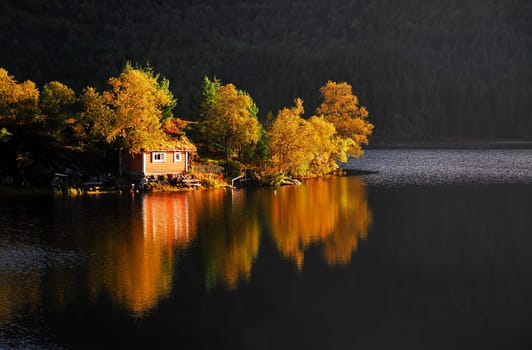 However,when the sun showed up for a short time,the typical autumn color came out!:-)