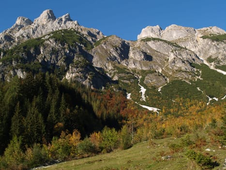 Autumn Mountain Landscape