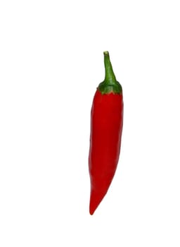 Hot peppers 04