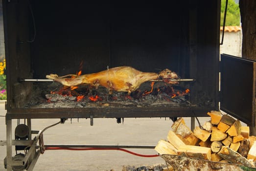 Barbecue 24
