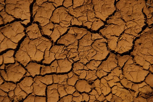 Parched Soil 01
