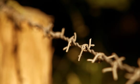 Border