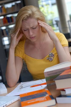 Female student studying