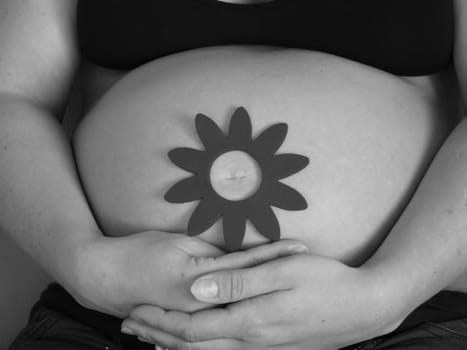 little flower