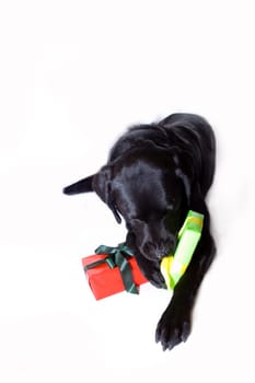 Unwrapping gifts
