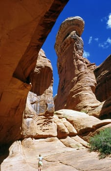 Tower Arch