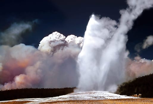 Yellow Stone-Old Faithful