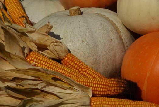 Pumpkin 09