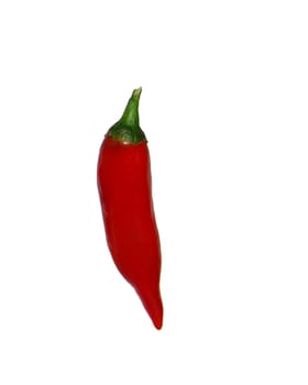 Hot peppers 05