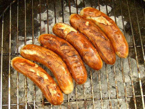 Barbecue 30