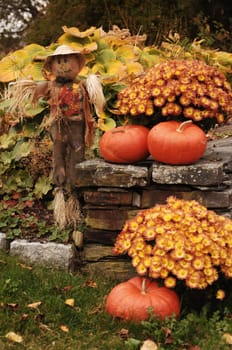 Scarecrow and pumpkins