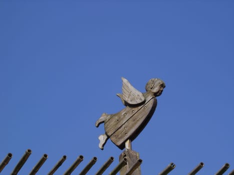 Fly,angel,fly