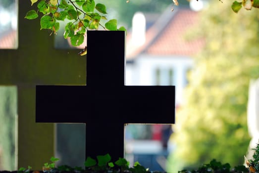 2 crosses