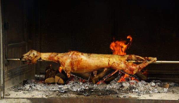 Barbecue 26