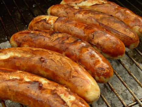 Barbecue 31