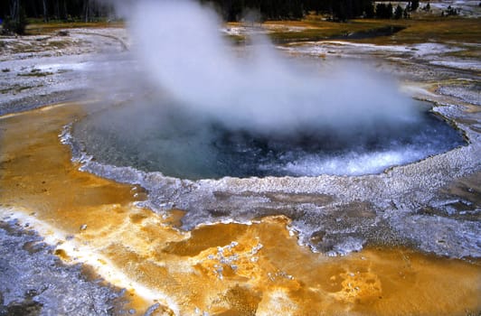 Yellow Stone Upper Geyser Basin