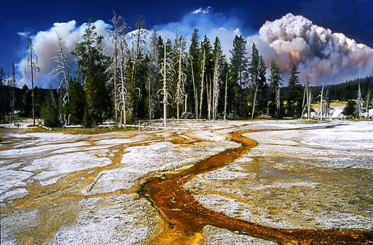 Yellow Stone Upper Geyser Basin 2