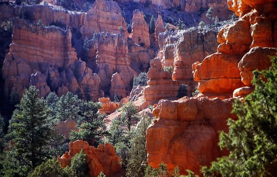 Red canyon 1