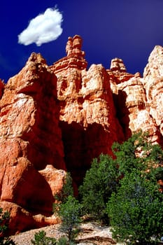 Red Canyon 2