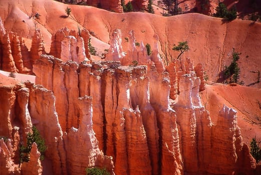 Bryce Canyon Deep View