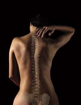 spine