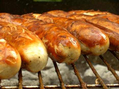 Barbecue 33