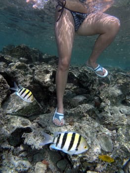 Woman on coral reef