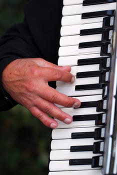 Accordion