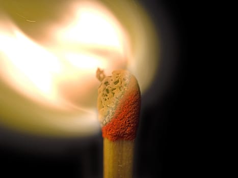 1365°C
