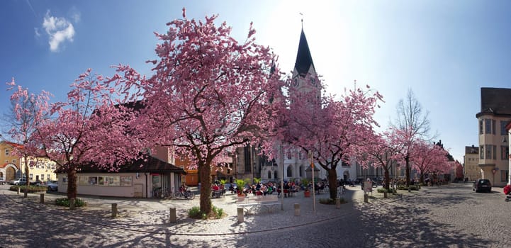 Eichstätt Cathedral Square
